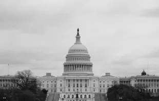 The US Capitol Nicholas Haro/Shutterstock